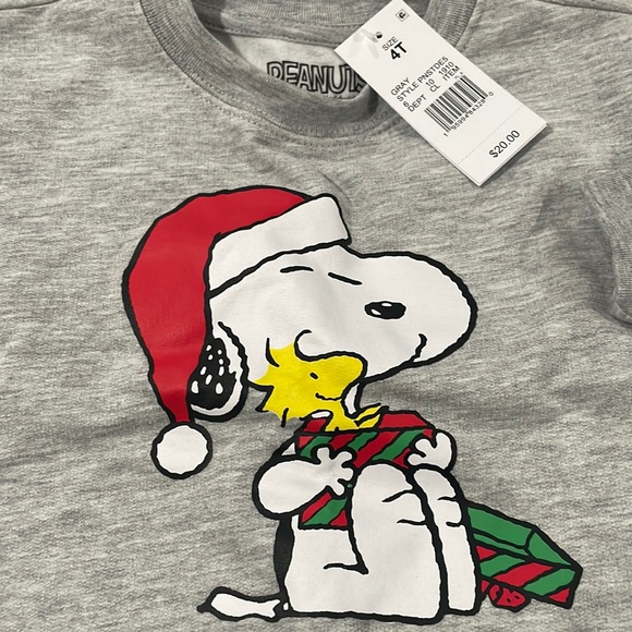 Peanuts Other - Kids Christmas Sweatshirt- Size 4T Snoopy and Woodstock with Santa hat NWT